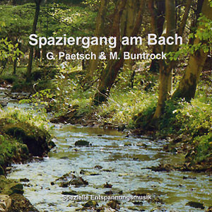 Martin Buntrock CD - Spaziergang am Bach